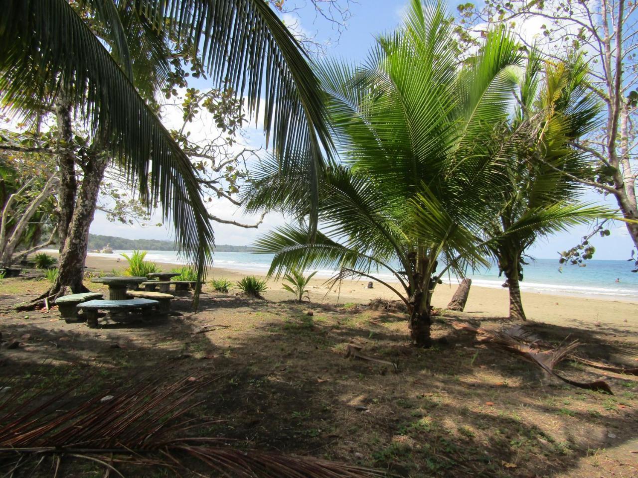 Pineapple House Manzanillo Villa Exterior foto